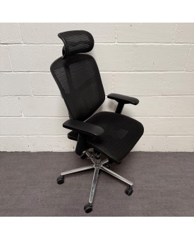 Enjoy Elite Ergonomic Chair With Head Rest