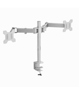 Dual Silver Monitor Arms