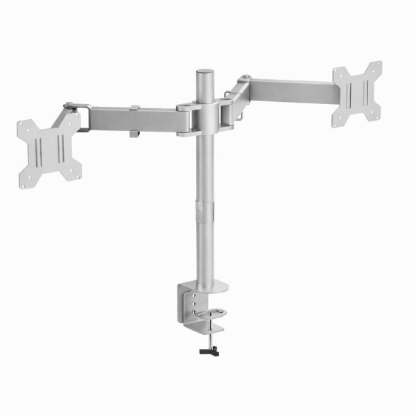 Dual Silver Monitor Arms