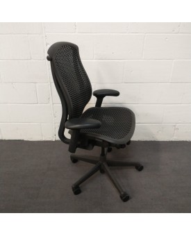 Herman Miller Celle Chair- Fully Adjustable 